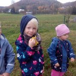phoca_thumb_m_drak 7 Fotogalerie